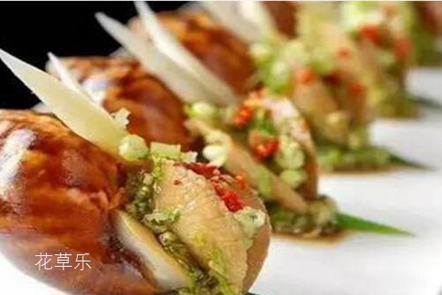 藥用和食用價值超高的蝸牛 是益蟲還是害蟲？
